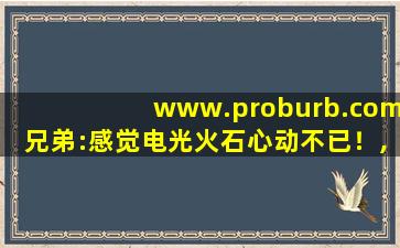 www.proburb.com兄弟:感觉电光火石心动不已！,wwwcppdcc入口